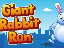 Giant Rabbit Run